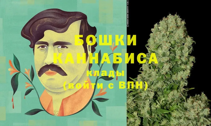 Марихуана OG Kush  Калач-на-Дону 